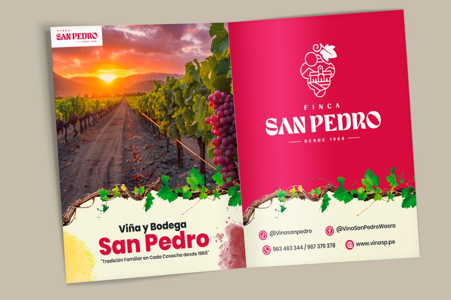 Brochure San Pedro